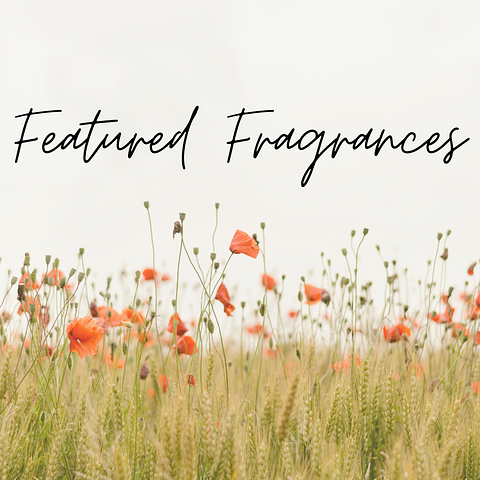 Featured Fragrances