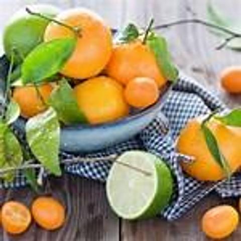 Basil Lime & Mandarin